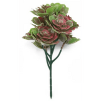 Red and Green Aeoniums Succulent Artificial Topiary Set of 5 11.8in – UV Resistant