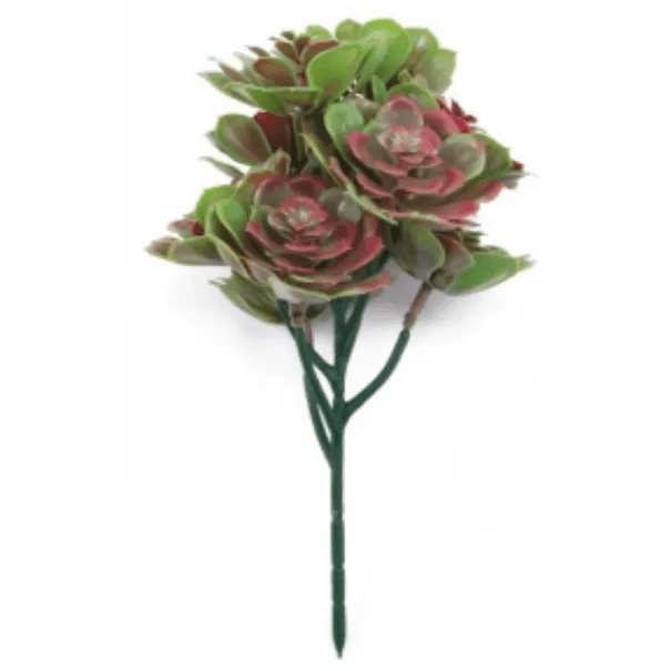 Red and Green Aeoniums Succulent Artificial Topiary Set of 5 11.8in – UV Resistant