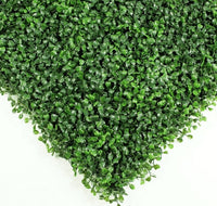 Sample Panel – Dark Boxwood Green Wall (Small Sample)