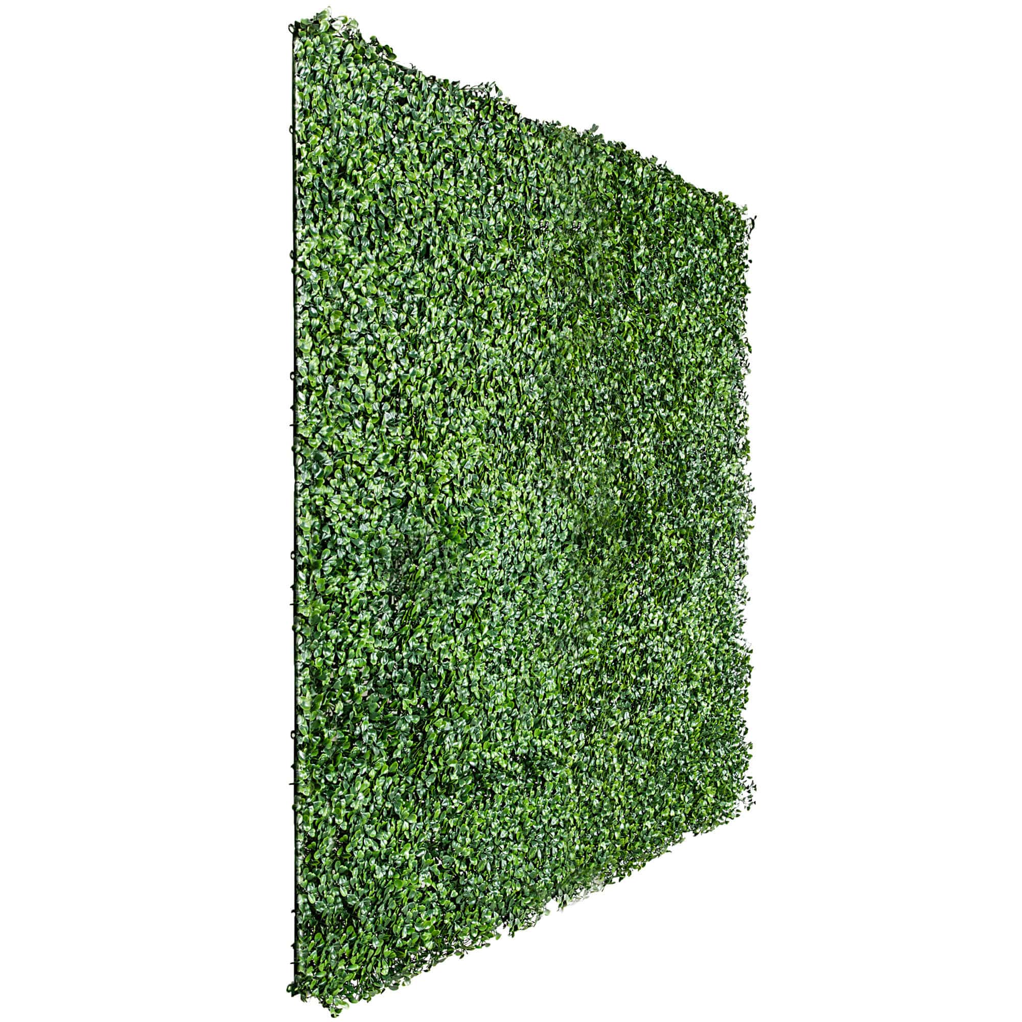 Sample Panel – Dark Boxwood Green Wall (Small Sample)