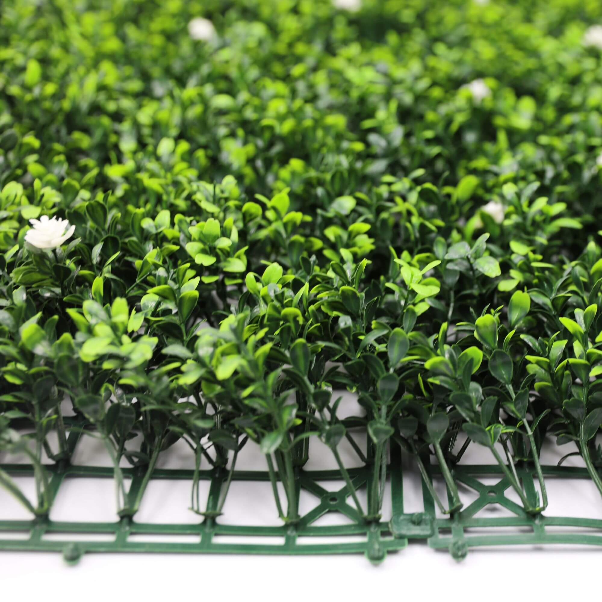 Pared de boj artificial con flores blancas 40" x 40" 11SQ FT resistente a los rayos UV