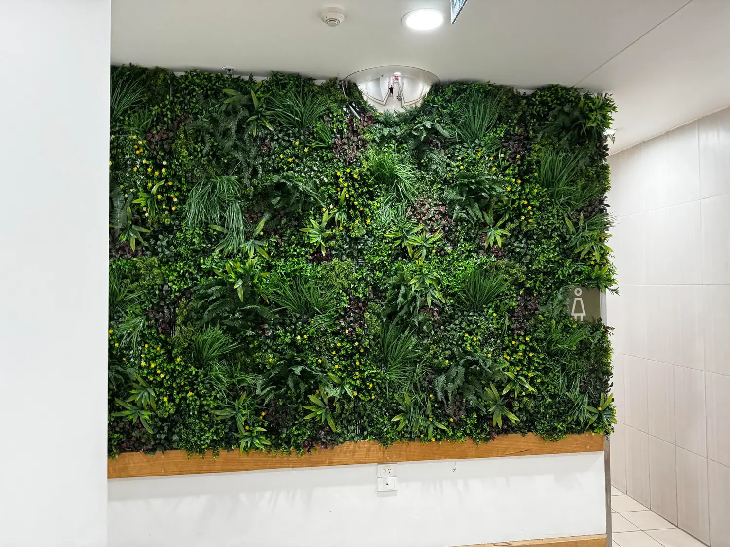 Jardín vertical artificial de helecho campestre de lujo, 40 x 40 pulgadas, 11 pies cuadrados, grado comercial, resistente a los rayos UV