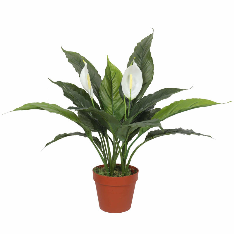 Elegant Artificial Peace Lily (Spathiphyllum) - 24-Inch Indoor Plant (Clearance)