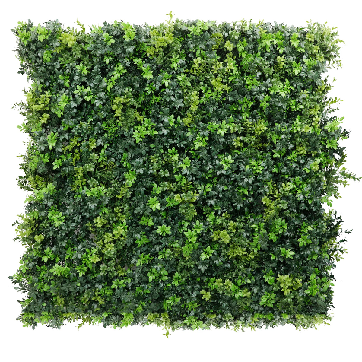 Mixed Green Ultra Dense Boxwood Artificial Vertical Garden Green Wall Panel 40×40in 11 SQ FT – NFPA701 Fire Rated – Metal Backed – UV Resistant – Commercial Grade