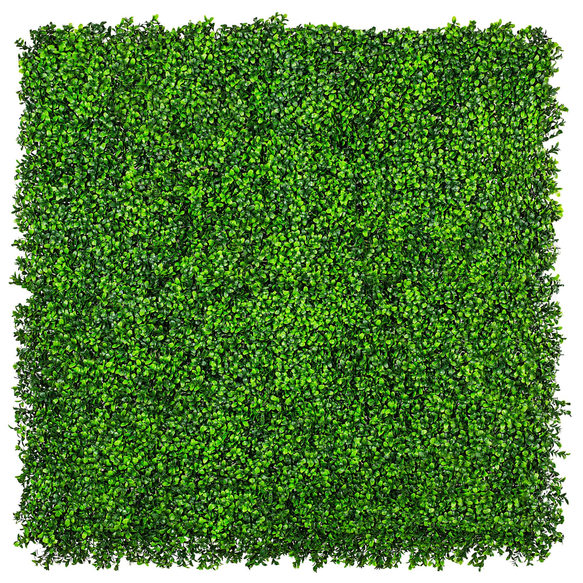 Sample Panel – Bright Boxwood Green Wall (Small Sample)