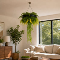 Artificial roof hanging disc with a black frame, draping green vines, and fern foliage suspended in a bright modern living room with UV resistant artificial greenery.