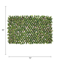 Expandable Faux Ficus Leaf trellis privacy fence panel with dense green foliage, 72 by 36 inches, UV resistant and adjustable size.