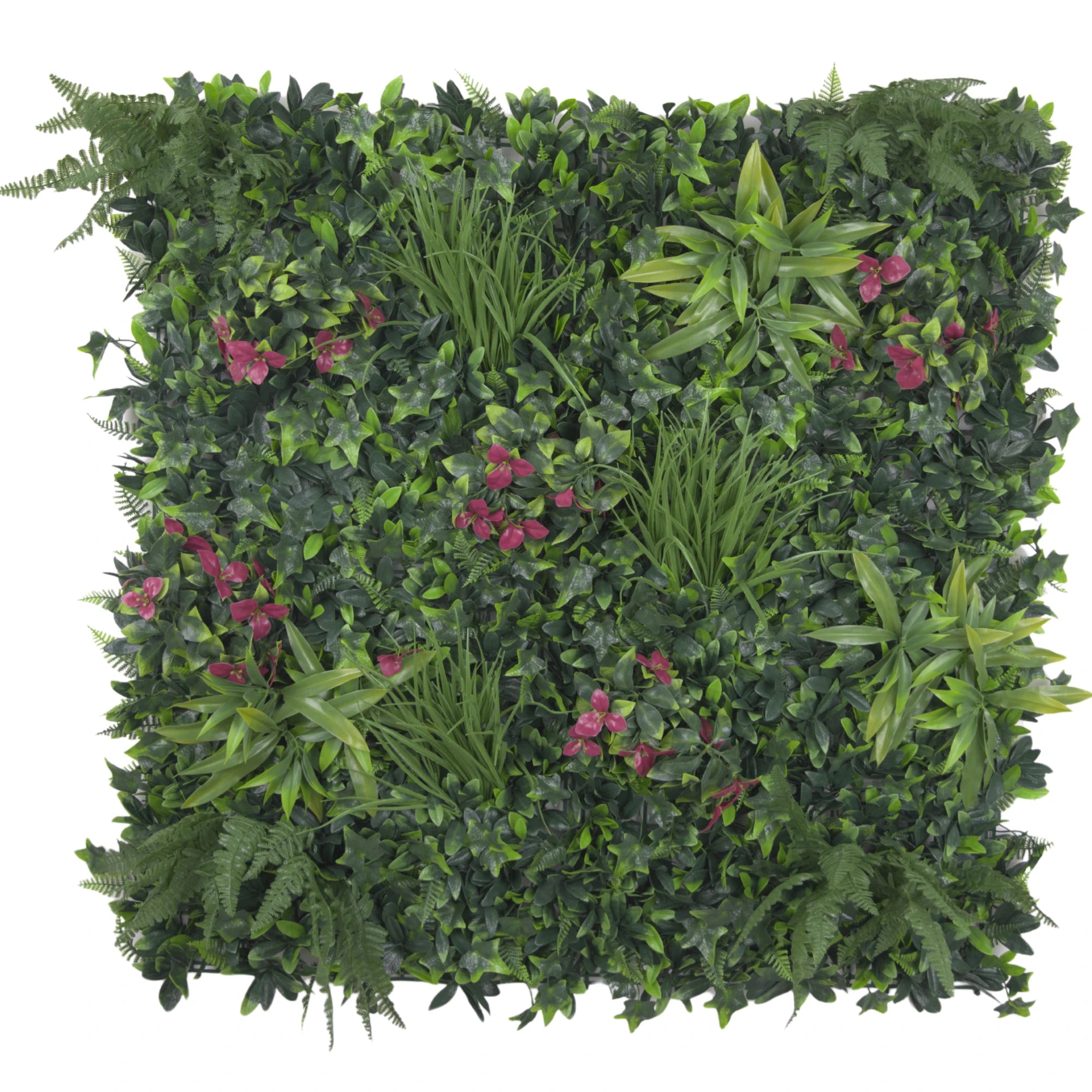 Pared viva artificial de sensación rosada de lujo/pared verde 40" x 40" 11SQ FT grado comercial resistente a los rayos UV