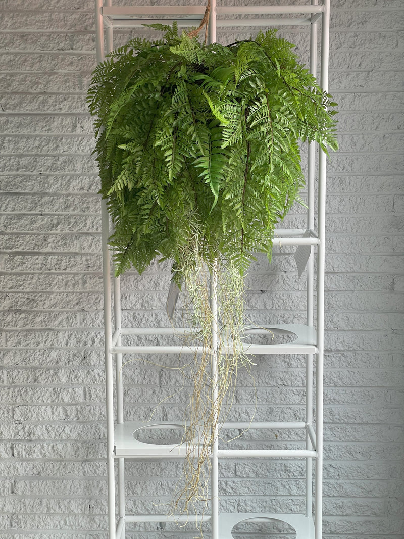 A lush fern drapes over a white ladder against a brick-textured wall.