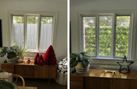 Plant wall panel installed along a fence before and after
