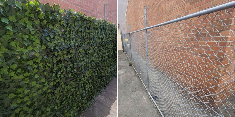 Artificial Ivy Panels Before and After Install onto Cyclone Mesh Fence