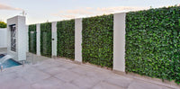 Boston Ivy Artificial Vertical Garden Green Wall Panel 40×40in 11 SQ FT – UV Resistant – Commercial Grade