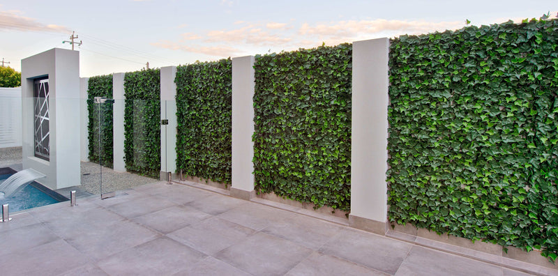 Sample Panel Artificial Boston Ivy Green Wall (Small Sample) Commercial Grade UV Resistant