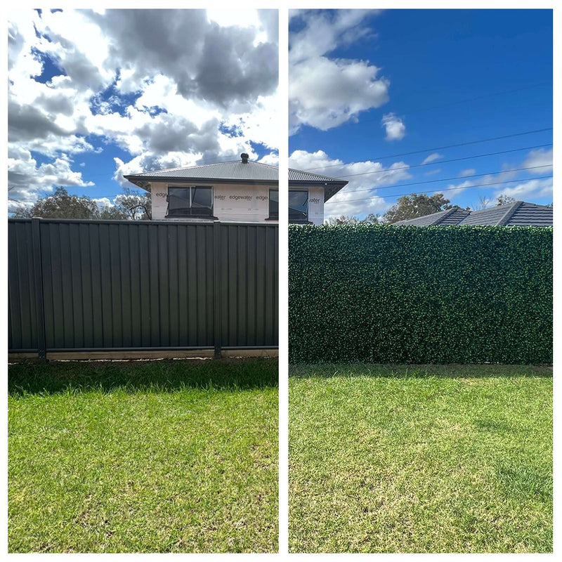 Two pictures depicting the before and after transformation of a fence and hedges using the Jasmine Artificial Green Wall 40" x 40" 11SQFT Commercial Grade UV Resistant for instant beauty.