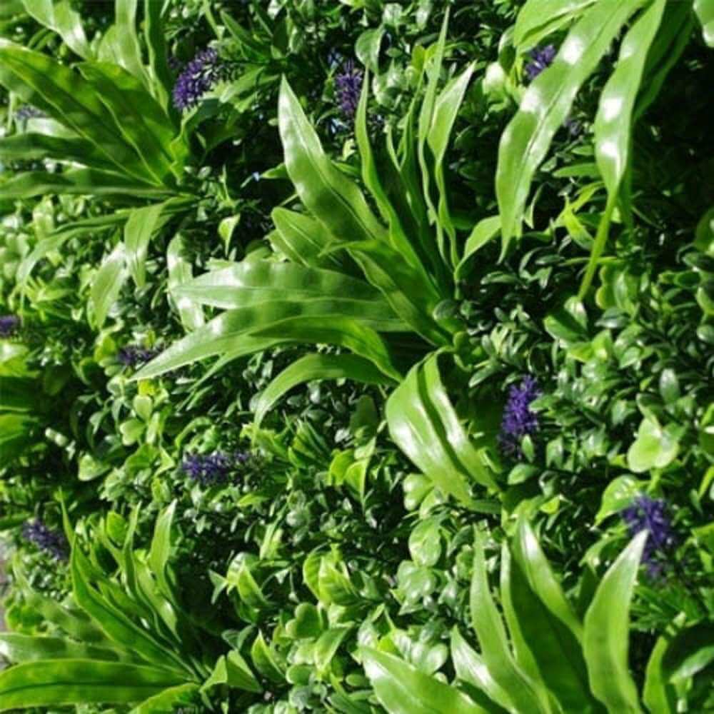 Campos de lavanda de lujo Pared verde artificial 40" x 40" 11SQFT Resistente a los rayos UV
