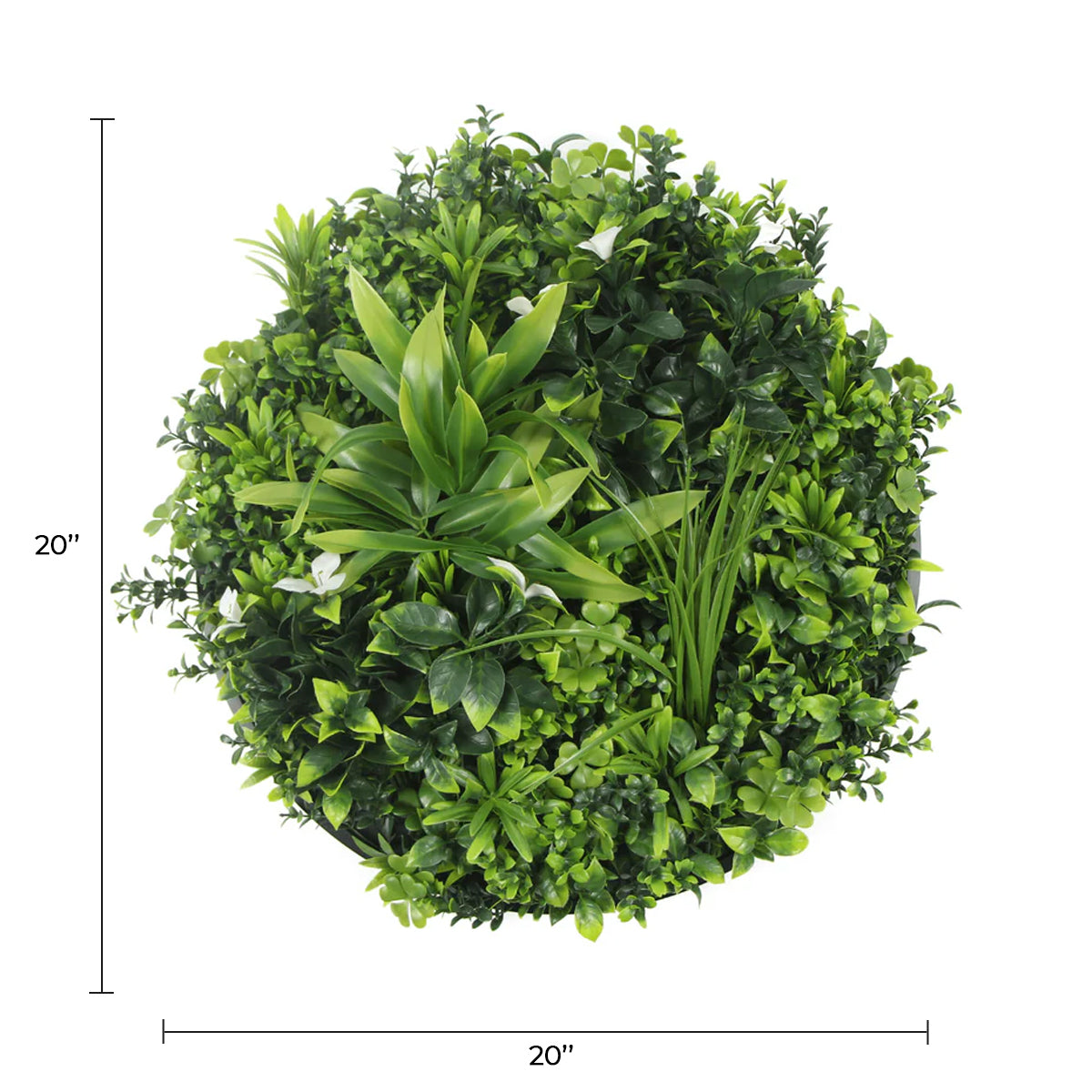 Artificial Green Wall Disc 20in – Black Frame – UV Resistant – Commercial Grade — Living Walls from Designer Plants USA