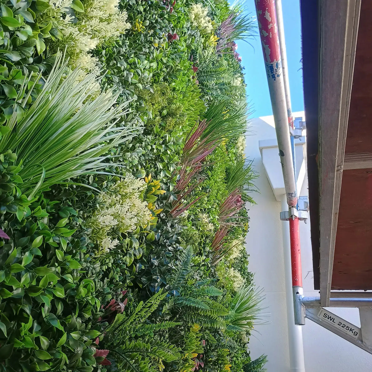 Artificial green vertical garden wall with mixed foliage on exterior building facade.