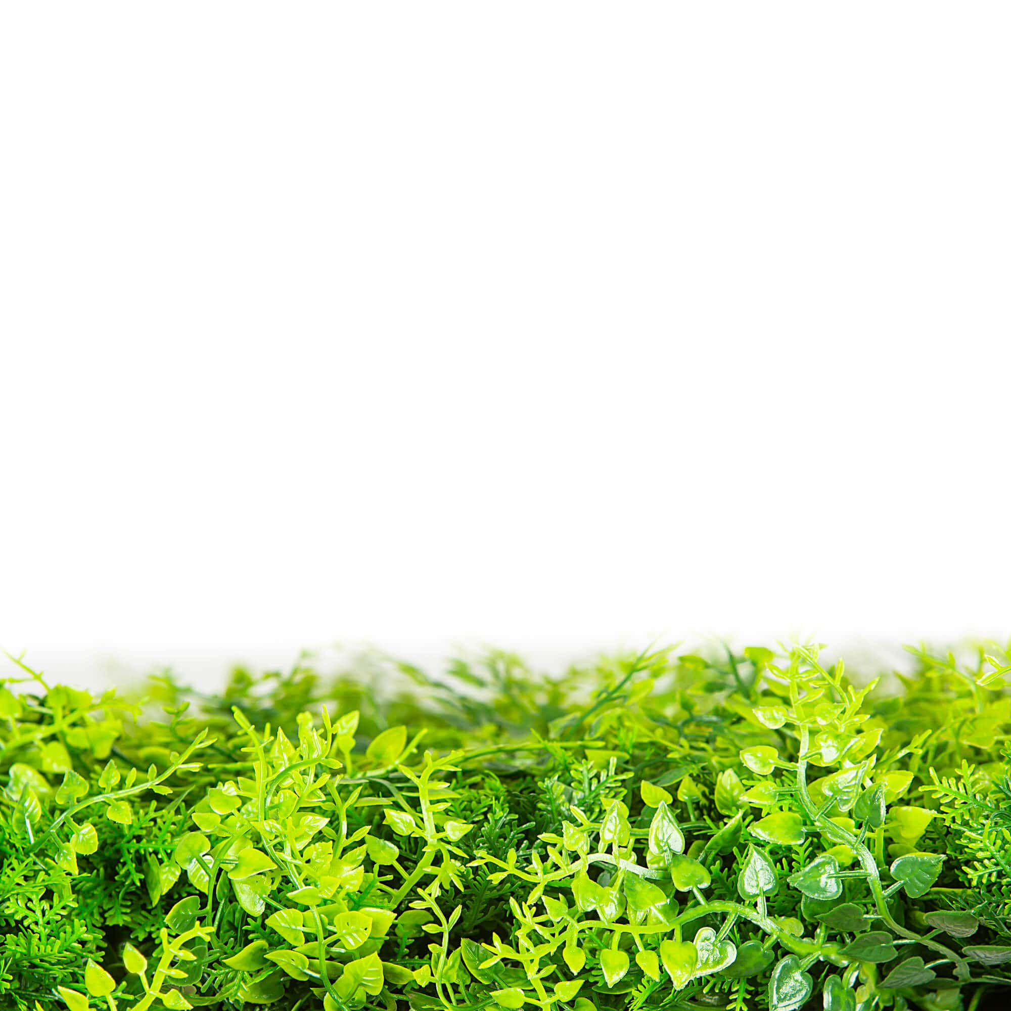 Panel de muestra de pared verde artificial de helecho exuberante (muestra pequeña) Grado comercial resistente a los rayos UV