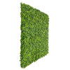 Mixed Boxwood Artificial Vertical Garden Green Wall Panel 40×40in 11 SQ FT – UV Resistant – Commercial Grade