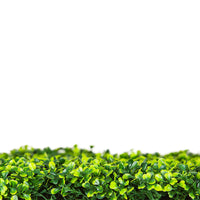 Dark Green Boxwood Artificial Hedge 30×30in – UV Resistant – Commercial Grade