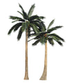 Palmera real artificial alta (13 pies - 23 pies) resistente a los rayos UV (pedido pendiente de 10 a 12 semanas)