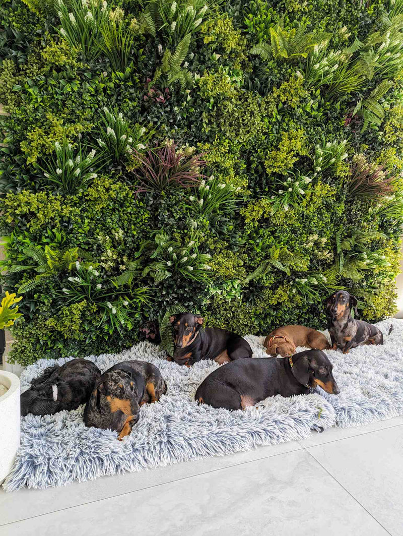 Premium Faux Green Wall Pebbles installed at home next to a carpet and designed for dogs and decoration