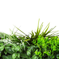 Sample Panel – Urban Greenery Vertical Garden (Small Sample)