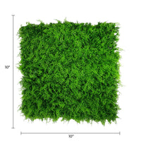 Panel de muestra de pared verde artificial de helecho exuberante (muestra pequeña) Grado comercial resistente a los rayos UV