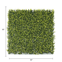 Sample Panel – Yellow English Boxwood Green Wall (Small Sample)