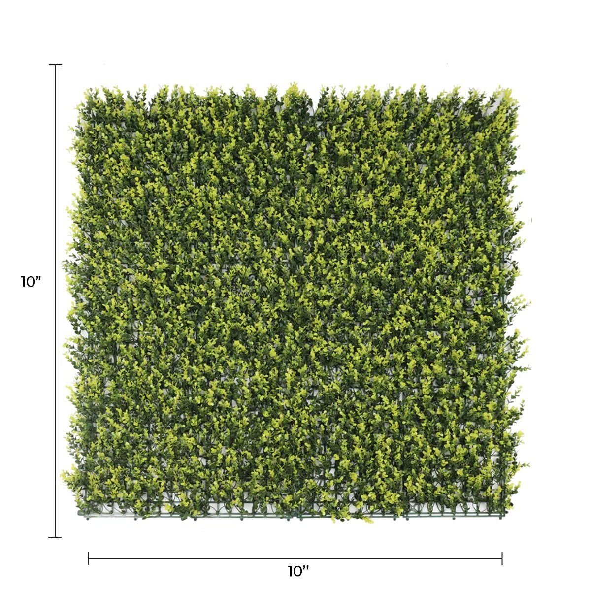 Pared de madera de boj artificial inglesa amarilla 40" x 40" 11SQ FT resistente a los rayos UV