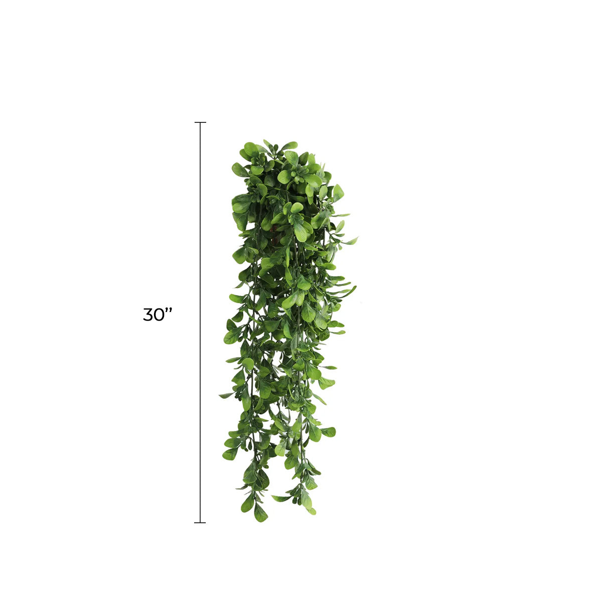 Set of 10 – Artificial Creeping Fig Garland Bushes (UV Resistant & Fire Rated | 7.1in x 30in | 18cm x 76cm Each)