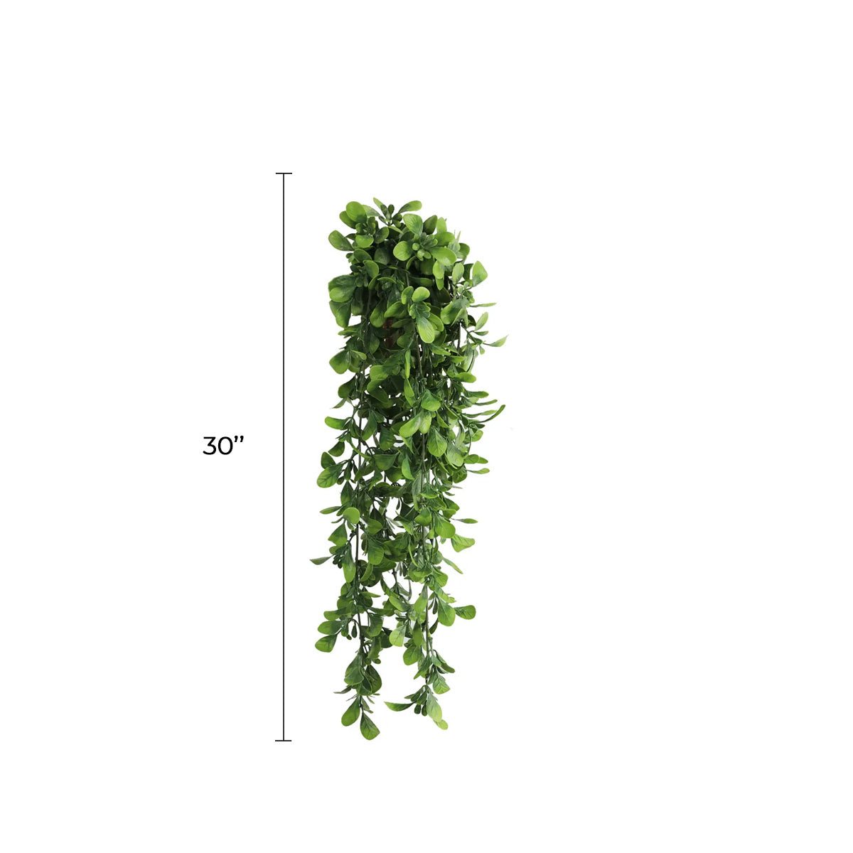 Creeping Fig Garland Artificial Hanging Bush 7.1×30in – NFPA701 Fire Rated – UV Resistant