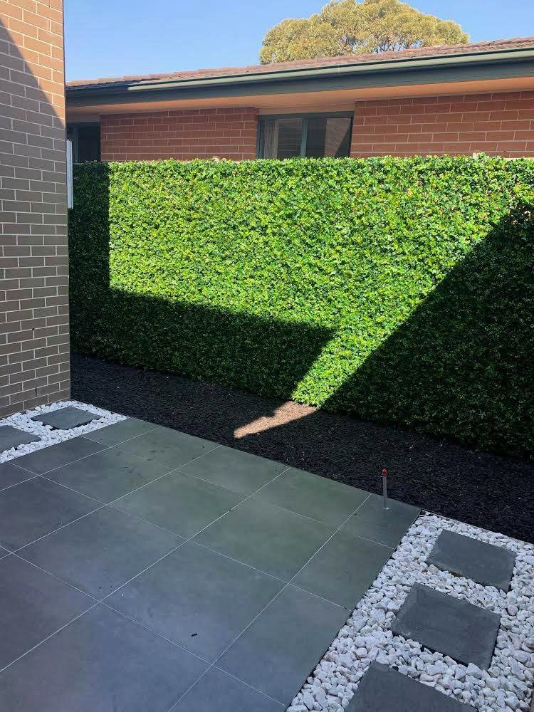 Panel de muestra de pared verde artificial de hiedra mixta (muestra pequeña) Grado comercial resistente a los rayos UV