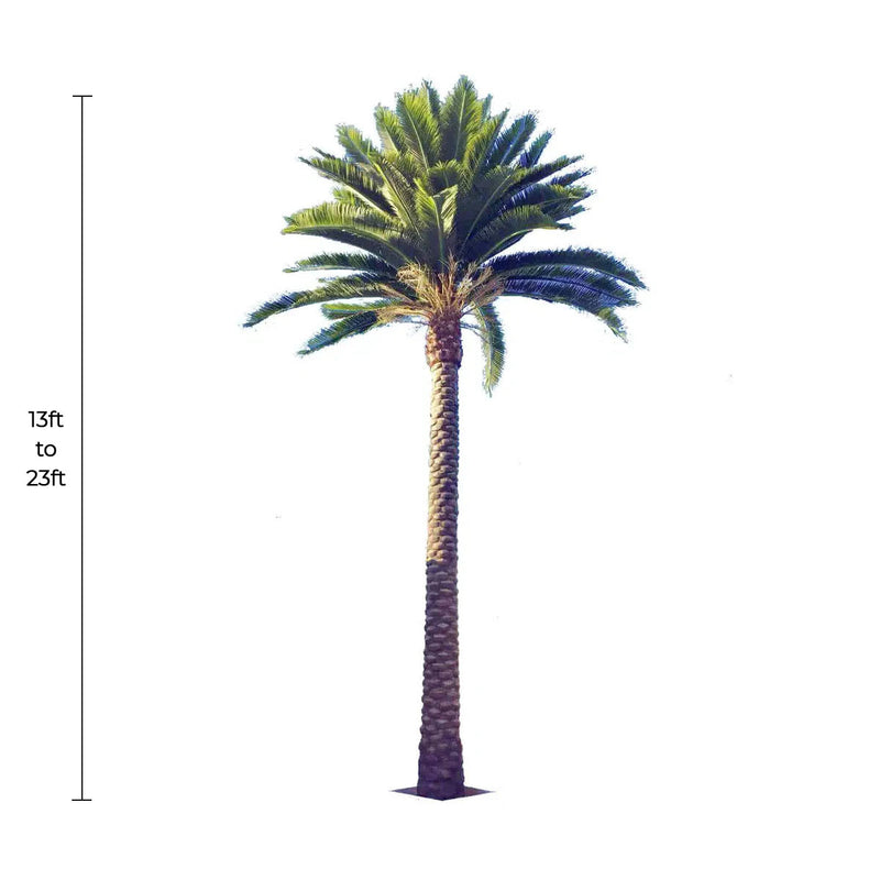 Palmera artificial alta de Florida (de 13 a 23 pies) resistente a los rayos UV (pedido pendiente de 10 a 12 semanas)