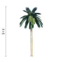 Palmera real artificial alta (13 pies - 23 pies) resistente a los rayos UV (pedido pendiente de 10 a 12 semanas)