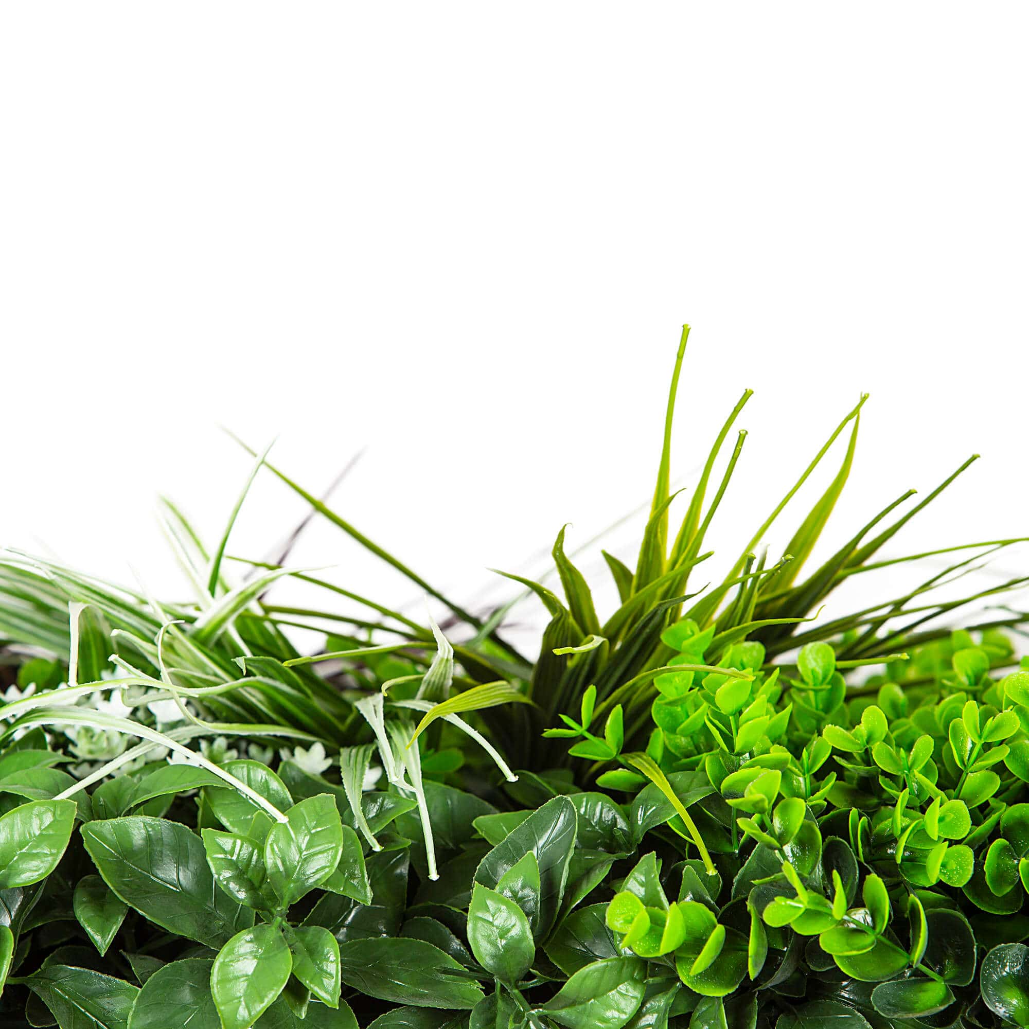 Sample Panel – Wild Tropics Vertical Garden (Small Sample)