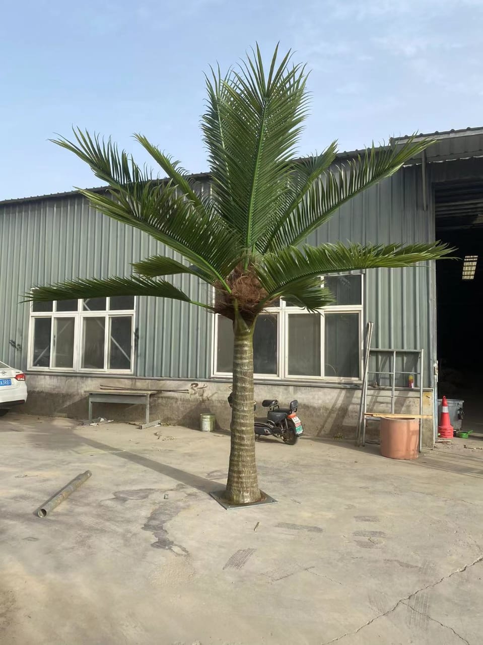 Palmera real artificial alta (13 pies - 23 pies) resistente a los rayos UV (pedido pendiente de 10 a 12 semanas)