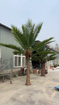Palmera real artificial alta (13 pies - 23 pies) resistente a los rayos UV (pedido pendiente de 10 a 12 semanas)
