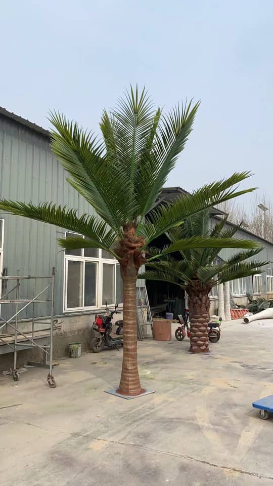 Palmera real artificial alta (13 pies - 23 pies) resistente a los rayos UV (pedido pendiente de 10 a 12 semanas)