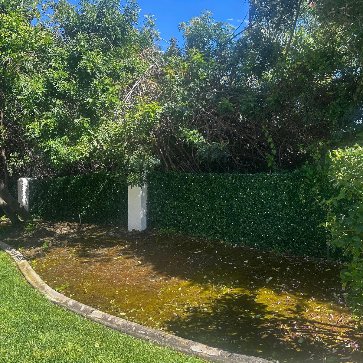 artificial boxwood hedge panels with white flowers forming a dense green privacy wall along outdoor garden fence in sunlight
