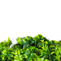 Sample Panel – White Oasis Vertical Garden (Small Sample)