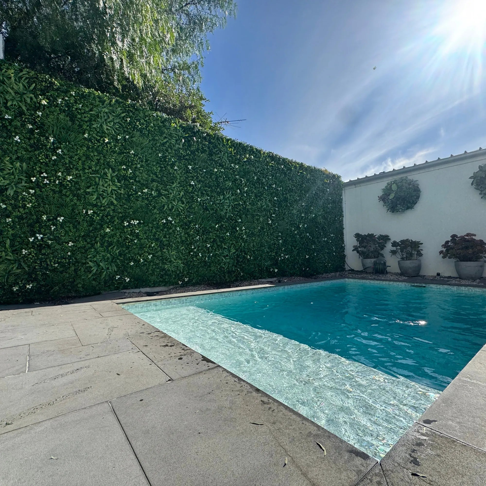 White Oasis artificial vertical garden green wall panels installed along a pool fence, creating a dense green privacy screen with lush foliage in a sunlit outdoor setting.