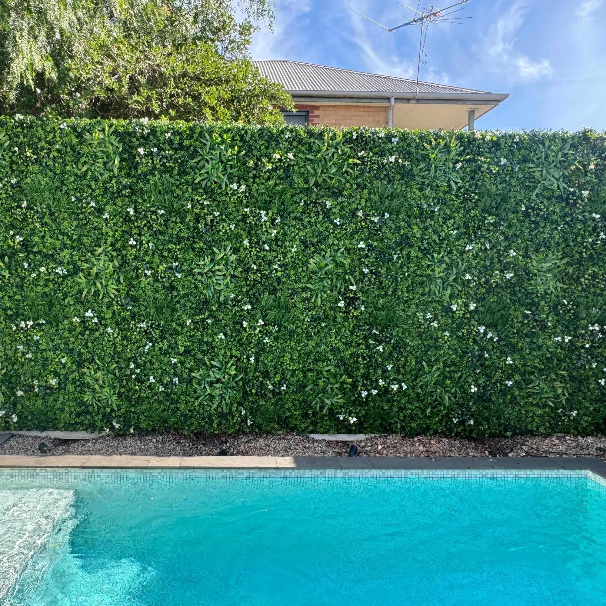 Straight-on view of White Oasis artificial vertical garden panels forming a seamless green wall along a poolside fence, enhancing privacy and outdoor aesthetics.