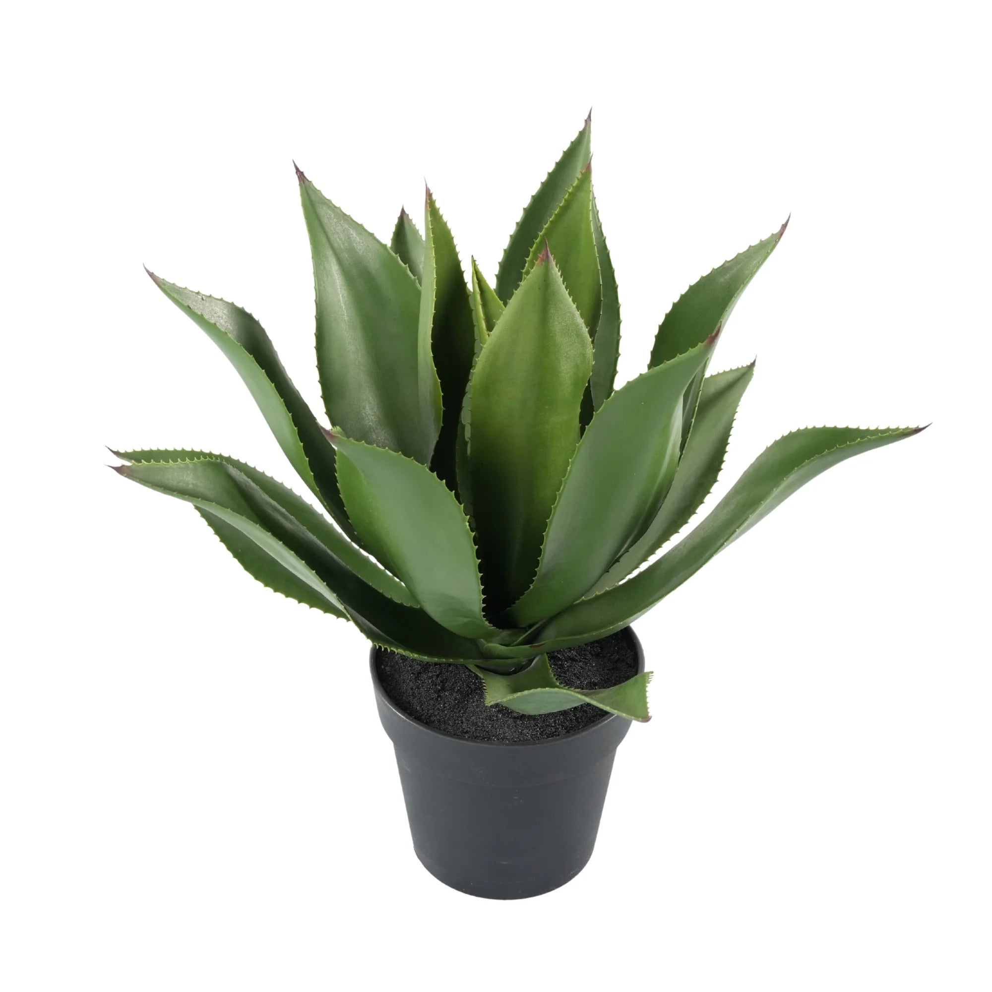 Premium Artificial Agave - Large Potted UV Resistant Agave 21.7in High x 17.7in Wide
