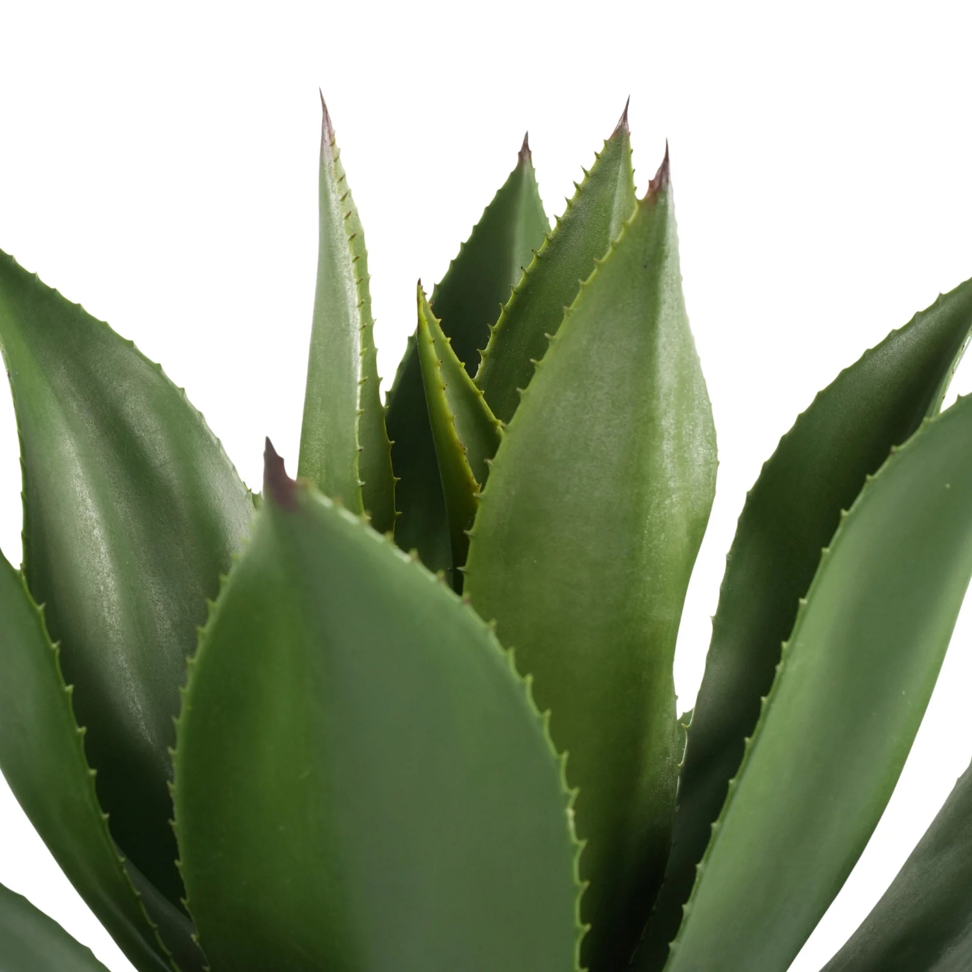 Premium Artificial Agave - Large Potted UV Resistant Agave 21.7in High x 17.7in Wide