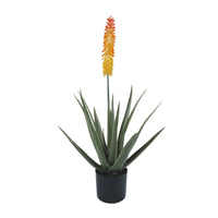 Aloe Vera Artificial Tree 33.5in