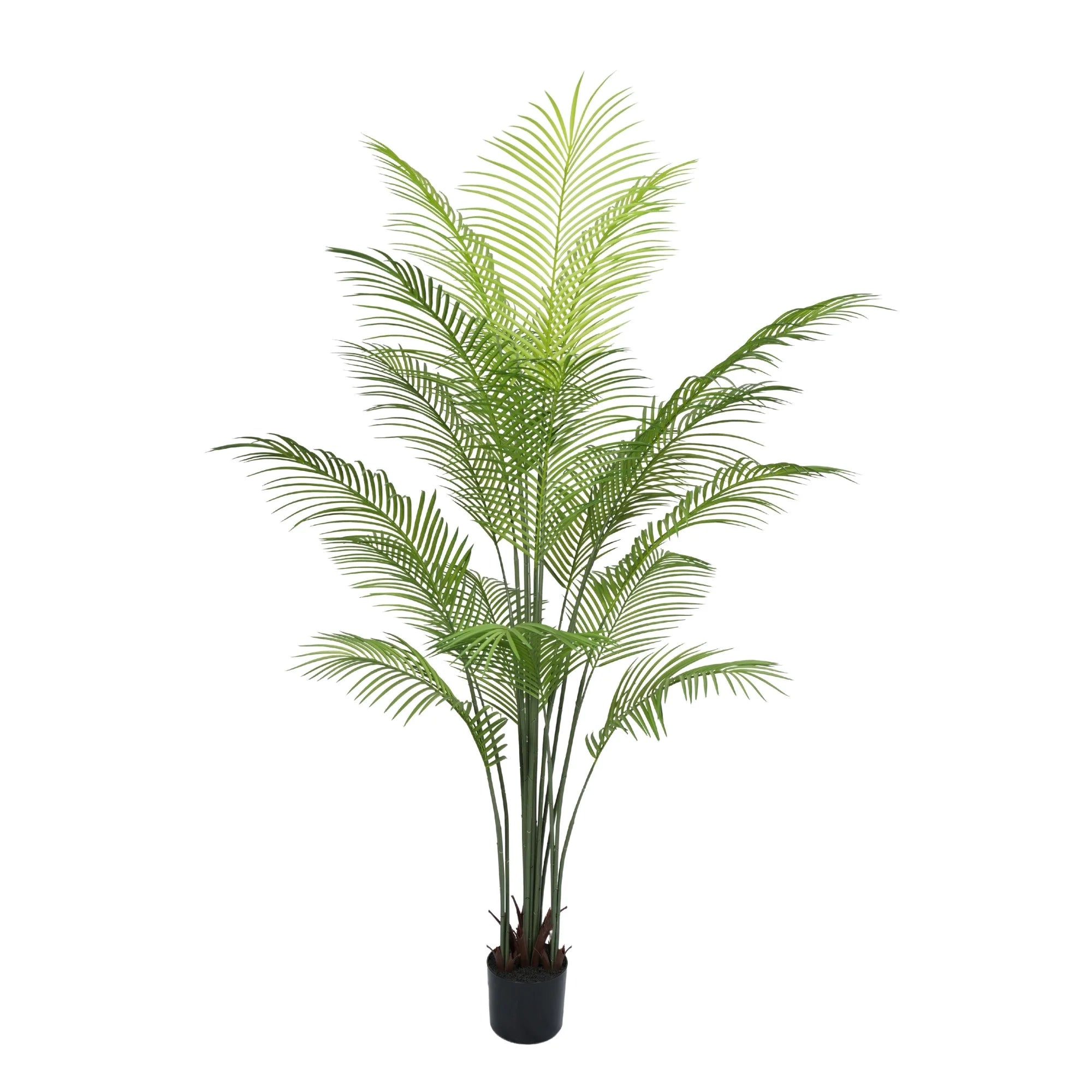Premium Dense Artificial Plam Tree 70.9in Areca Faux Tree (Knock Down)