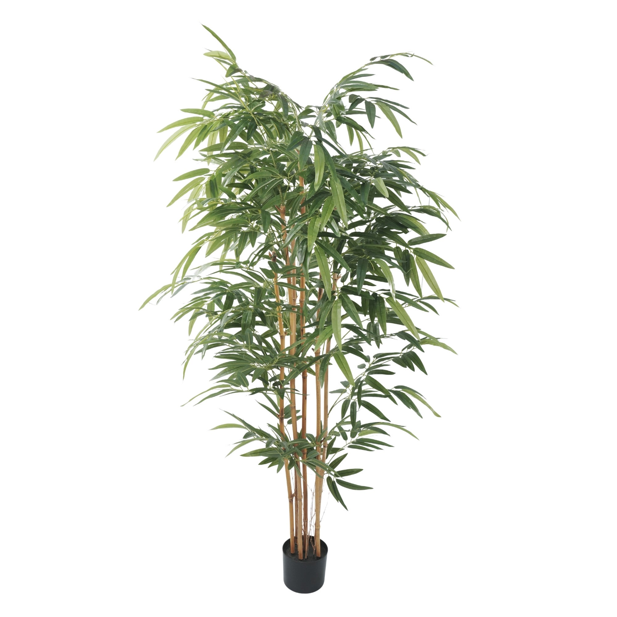 Premium Potted Artificial Bamboo with Natural Trunk 70.9in