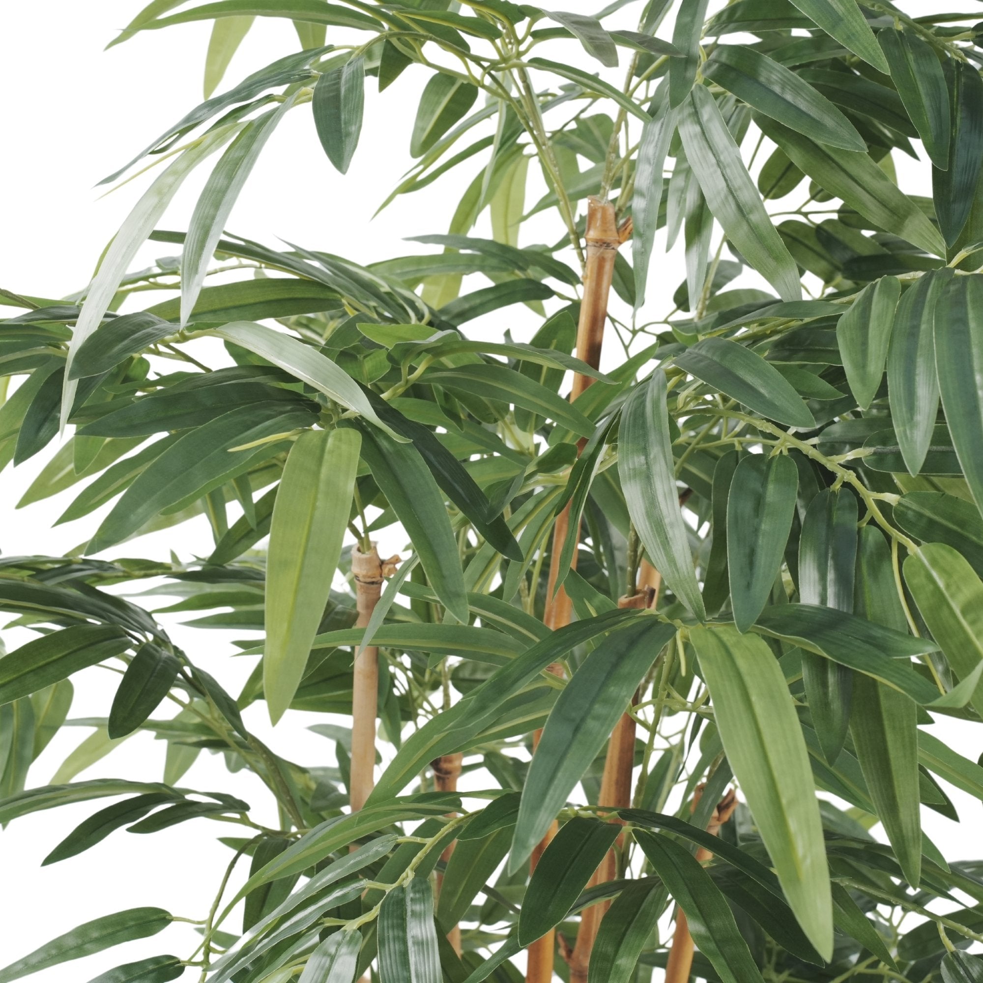 Premium Potted Artificial Bamboo with Natural Trunk 70.9in