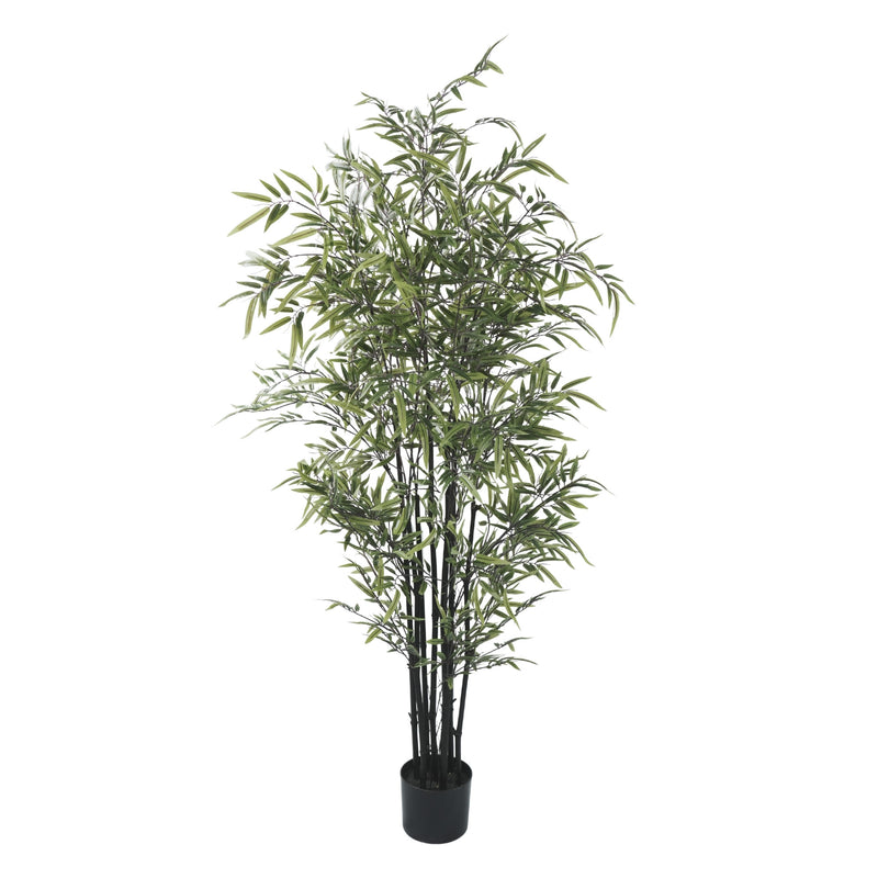 Premium Dense Artificial Black Bamboo 59.1in